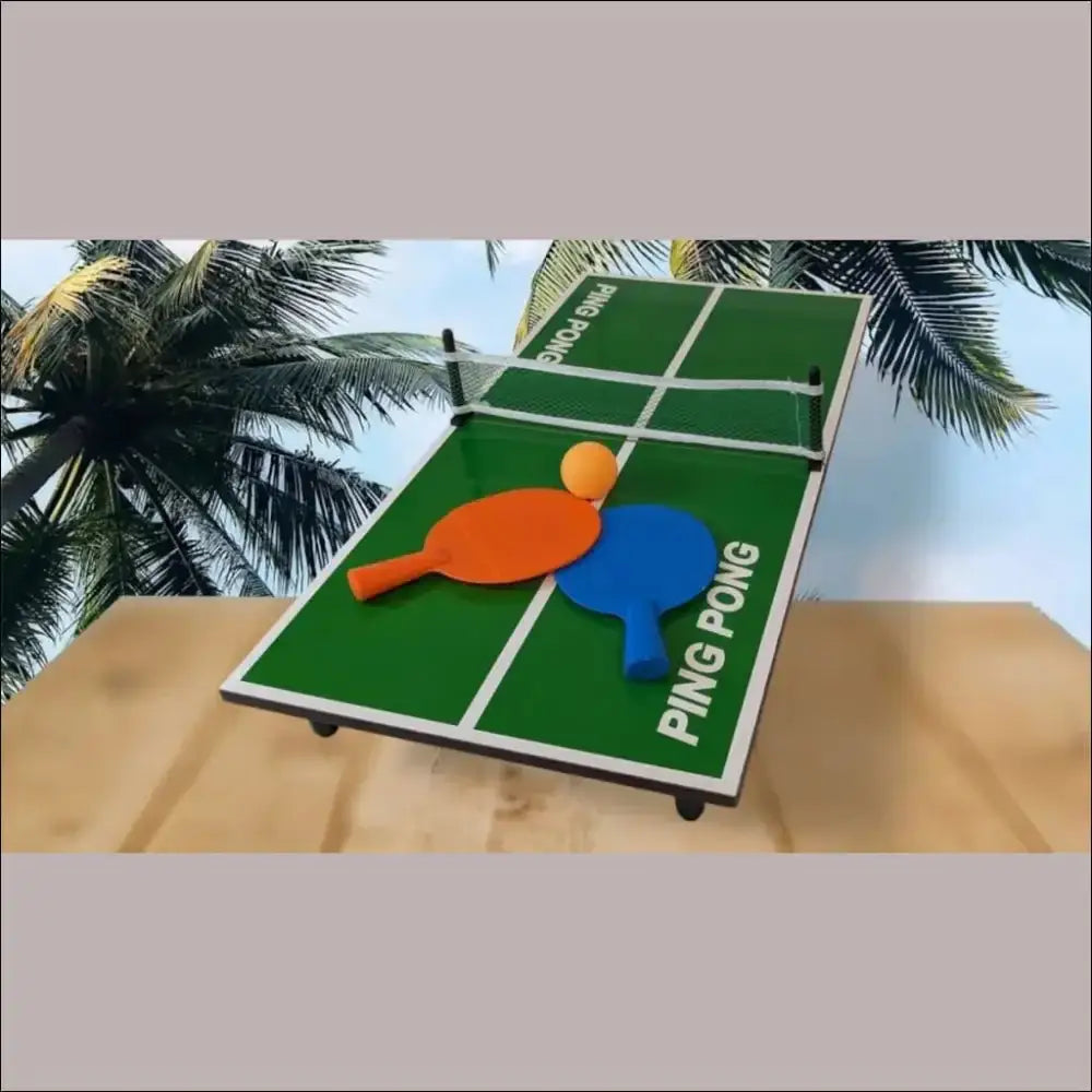 Freizeit - Spiel und Spaß - Mini Tischtennisplatte 60x30 cm, mit Ball und Schlägern, steckbar// Neuware und B-Ware sortiert! - Retourify e. K.