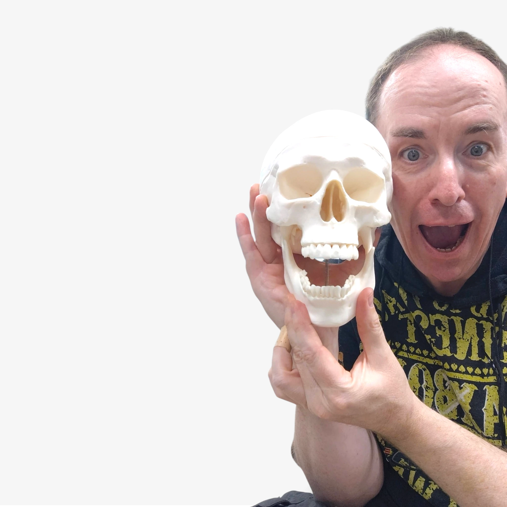 Buddy the Budget Skeleton [B-Ware]