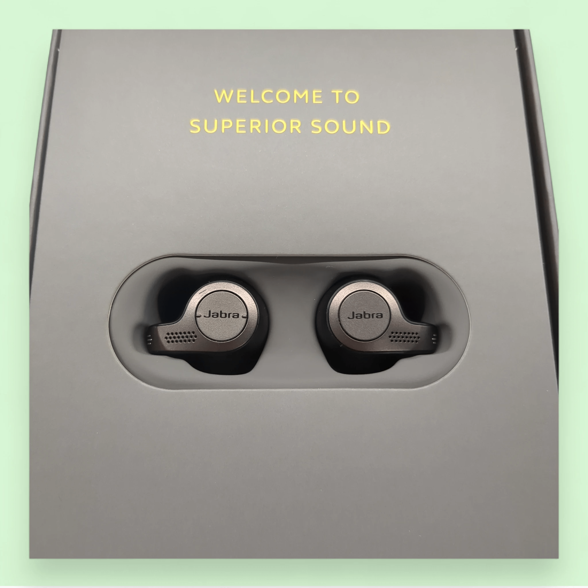 Jabra Elite 65t Ladecase intakt / Akku der Inears defekt / Ersatzteile Bastler bei Retourify e. K.