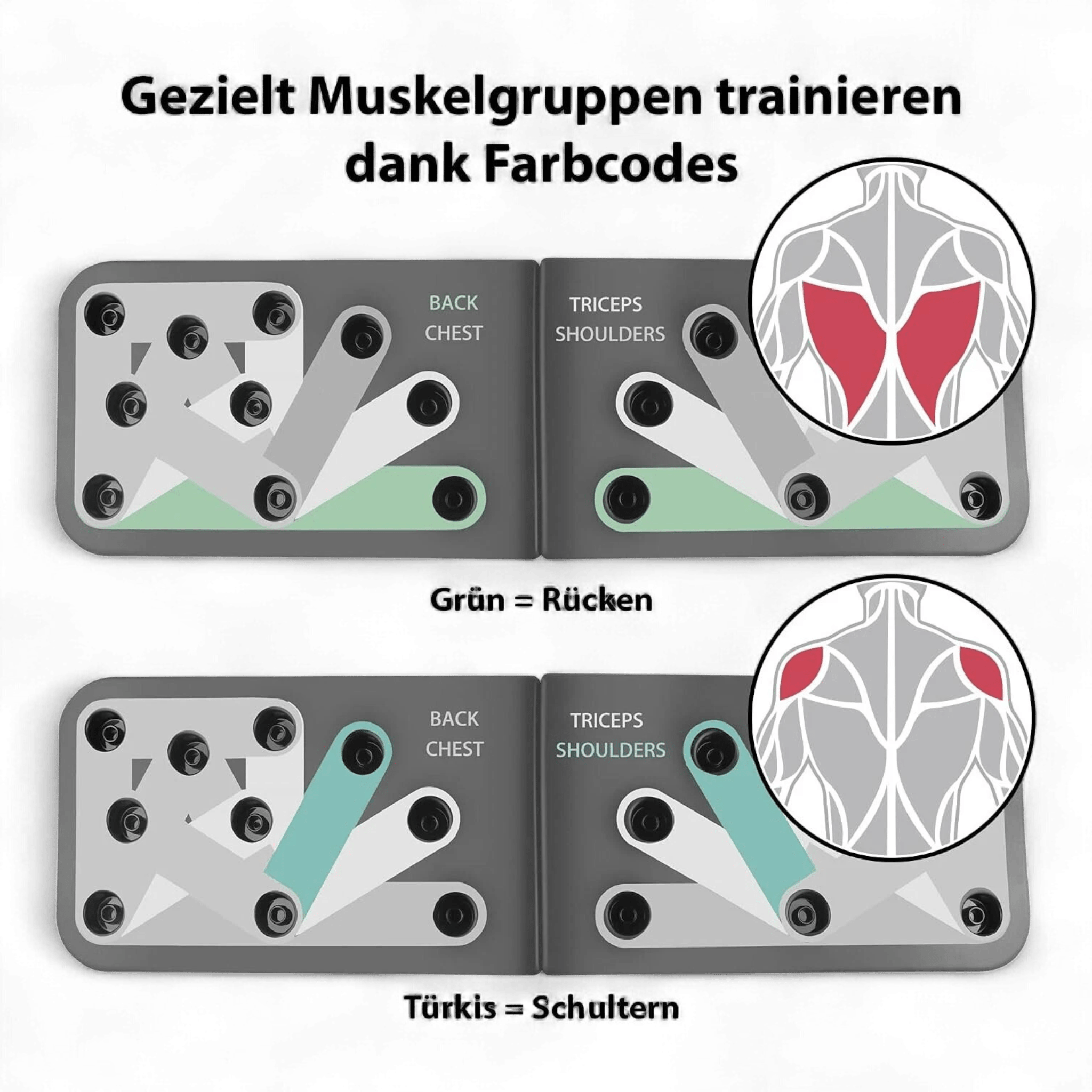 Maxxmee Push - up Board / gezieltes Muskeltraining / B Ware bei Retourify e. K.