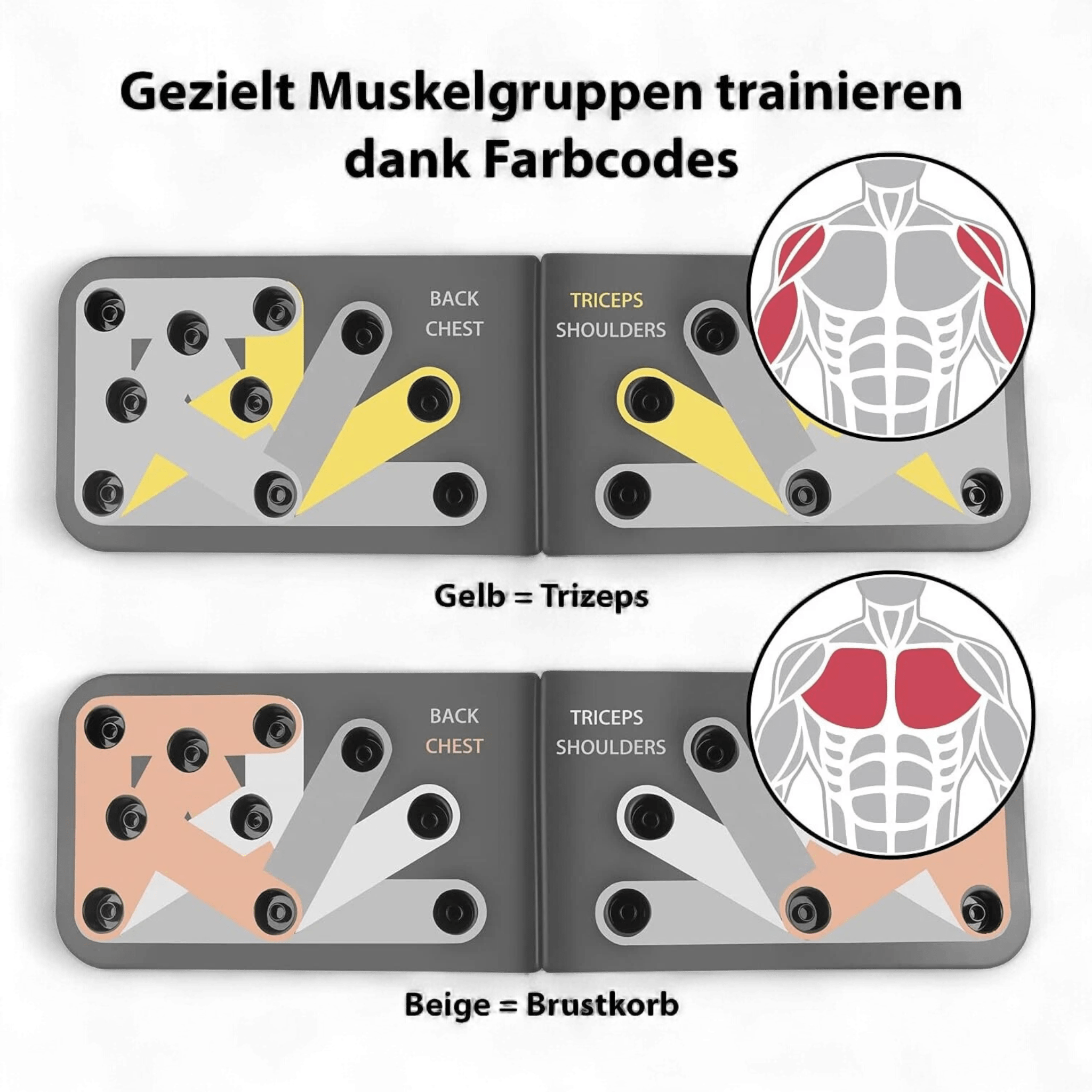 Maxxmee Push - up Board / gezieltes Muskeltraining / B Ware bei Retourify e. K.
